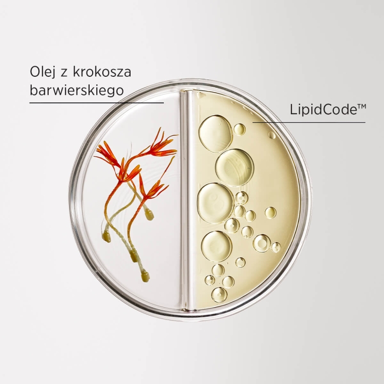 System Professional LuxeBlond LB2 profesjonalna odżywka odbudowująca i redukująca łamliwość włosów blond 200ml