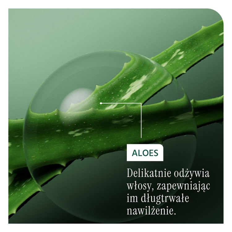 Biolage Hydra Source intensywnie nawilżająca odżywka do włosów suchych 236ml