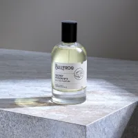 Bullfrog Secret Potion N.3 Eau de Parfum – Męska Woda Perfumowana Morsko-Drzewno-Bursztynowa 100 ml