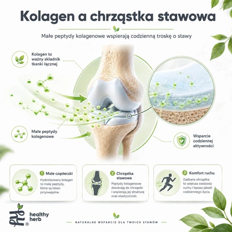 Healthy Herb Kolagen STRONG 10000 mg 500 ml – kolagen rybi w płynie z kwasem hialuronowym koenzymem Q10 biotyną i witaminą C