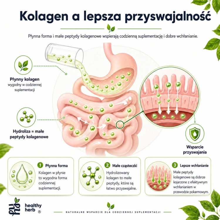Healthy Herb Kolagen STRONG 10000 mg 500 ml – kolagen rybi w płynie z kwasem hialuronowym koenzymem Q10 biotyną i witaminą C