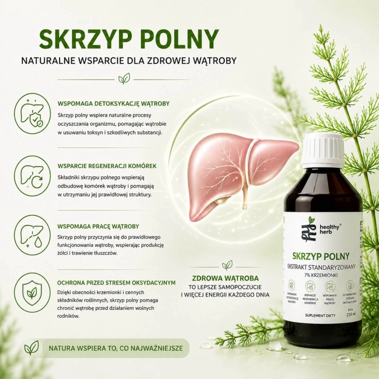 Healthy Herb Skrzyp Polny 250 ml – ekstrakt 4:1 standaryzowany na 7% krzemionki 70 mg z sokiem malinowym