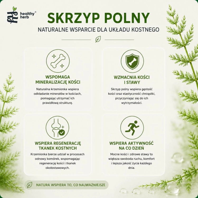 Healthy Herb Skrzyp Polny 250 ml – ekstrakt 4:1 standaryzowany na 7% krzemionki 70 mg z sokiem malinowym