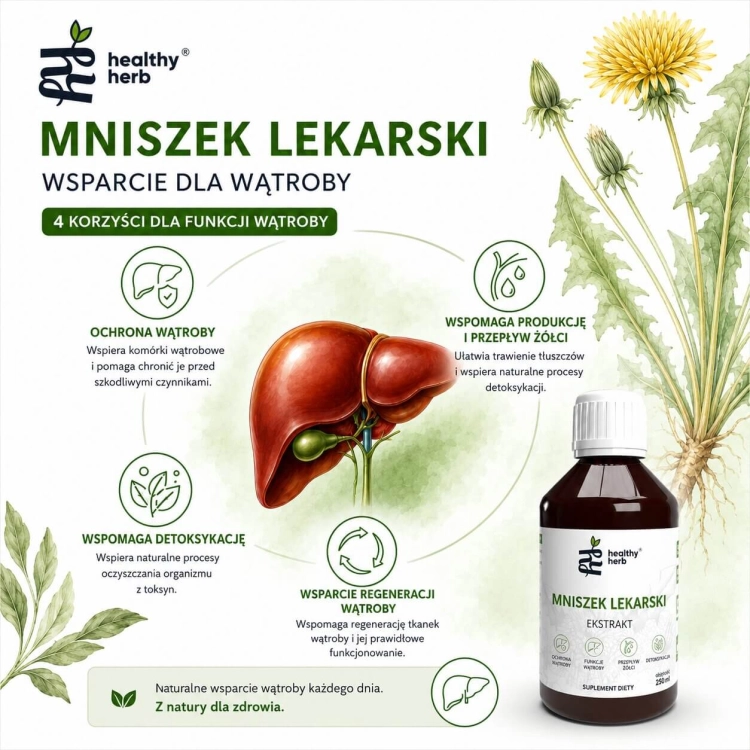 Healthy Herb Mniszek Lekarski 250 ml – ekstrakt z korzenia 4:1 z sokiem malinowym NFC 1000 mg