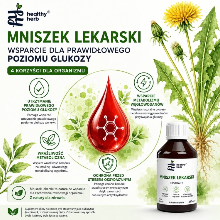 Healthy Herb Mniszek Lekarski 250 ml – ekstrakt z korzenia 4:1 z sokiem malinowym NFC 1000 mg