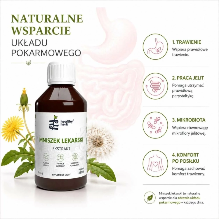 Healthy Herb Mniszek Lekarski 250 ml – ekstrakt z korzenia 4:1 z sokiem malinowym NFC 1000 mg
