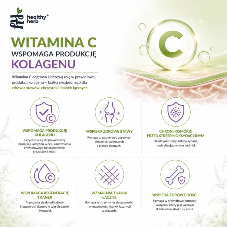 Healthy Herb Stawy i Tkanka Łączna 150 g – glukozamina 1500 mg MSM 1500 mg chondroityna 800 mg z witaminą C